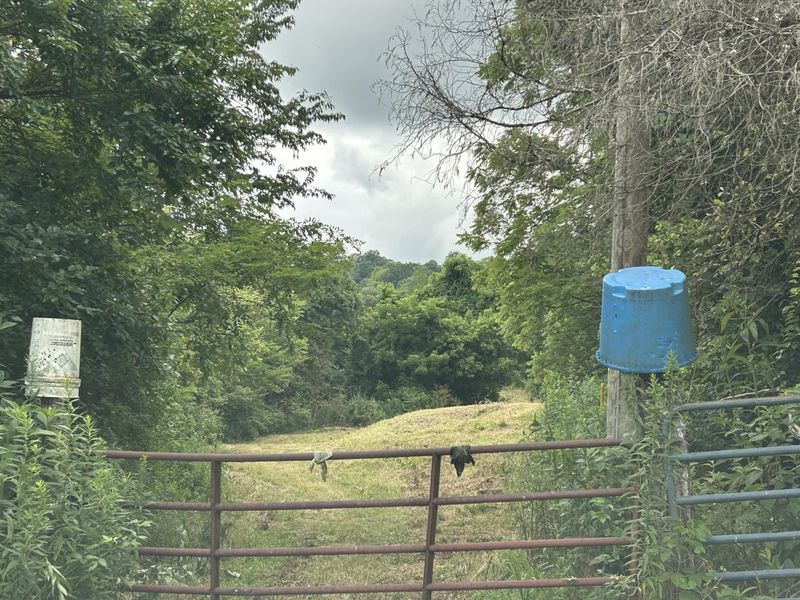 4285 HWY 467, Glencoe, KY 41046 Photo 5