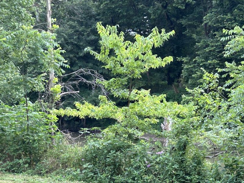 4285 HWY 467, Glencoe, KY 41046 Photo 9