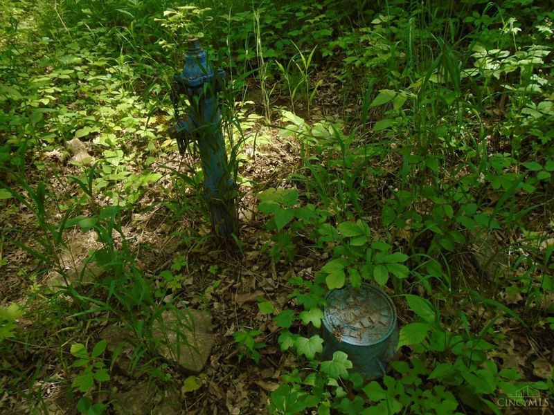 0 Rischforth Road, Jackson Twp, OH 45168 Photo 11