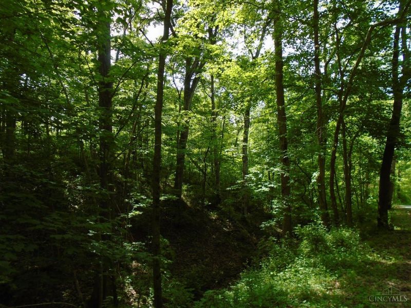 0 Rischforth Road, Jackson Twp, OH 45168 Photo 8