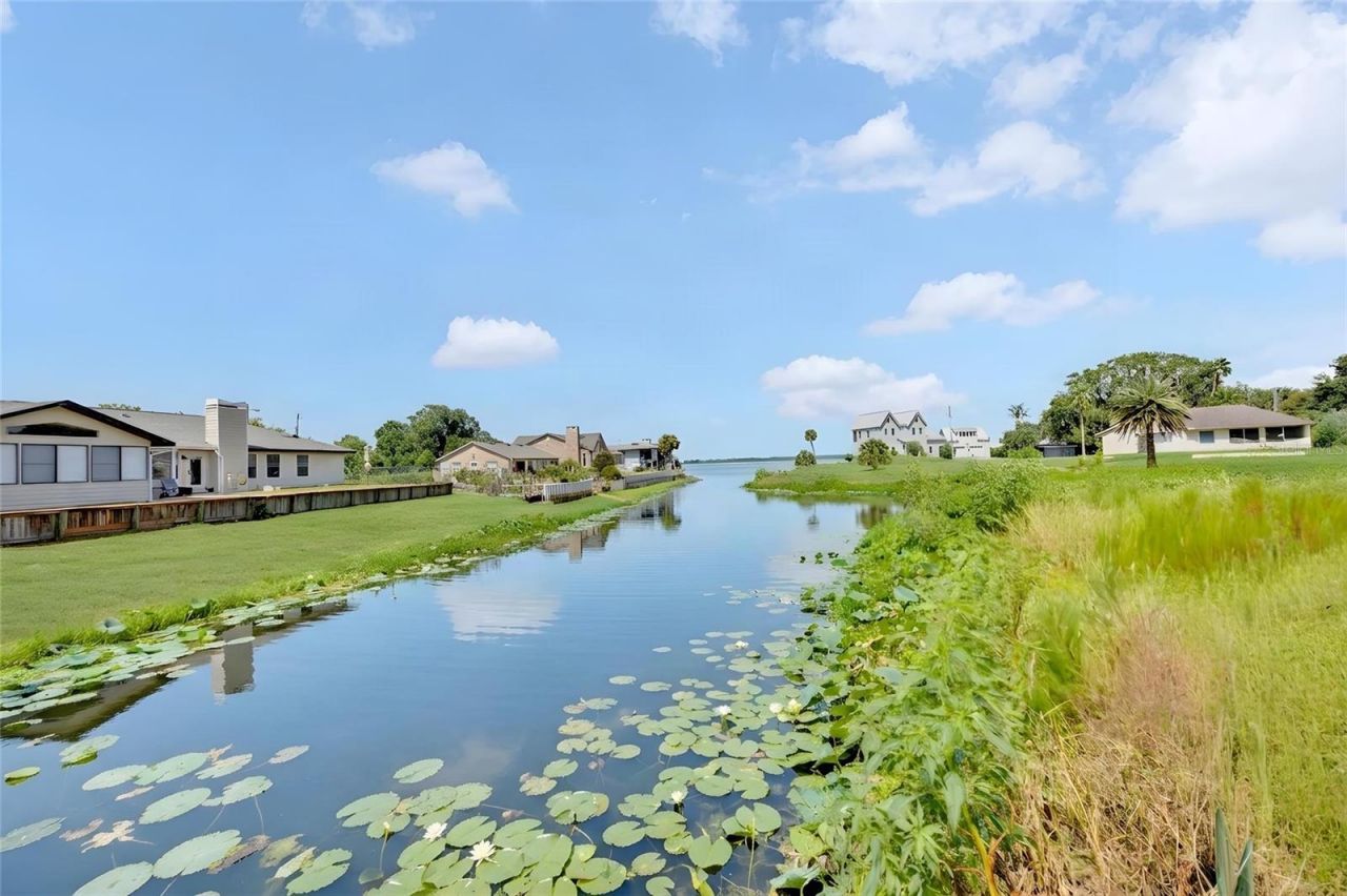 3943 NW 219th Street Road, Micanopy, FL 32667 Photo