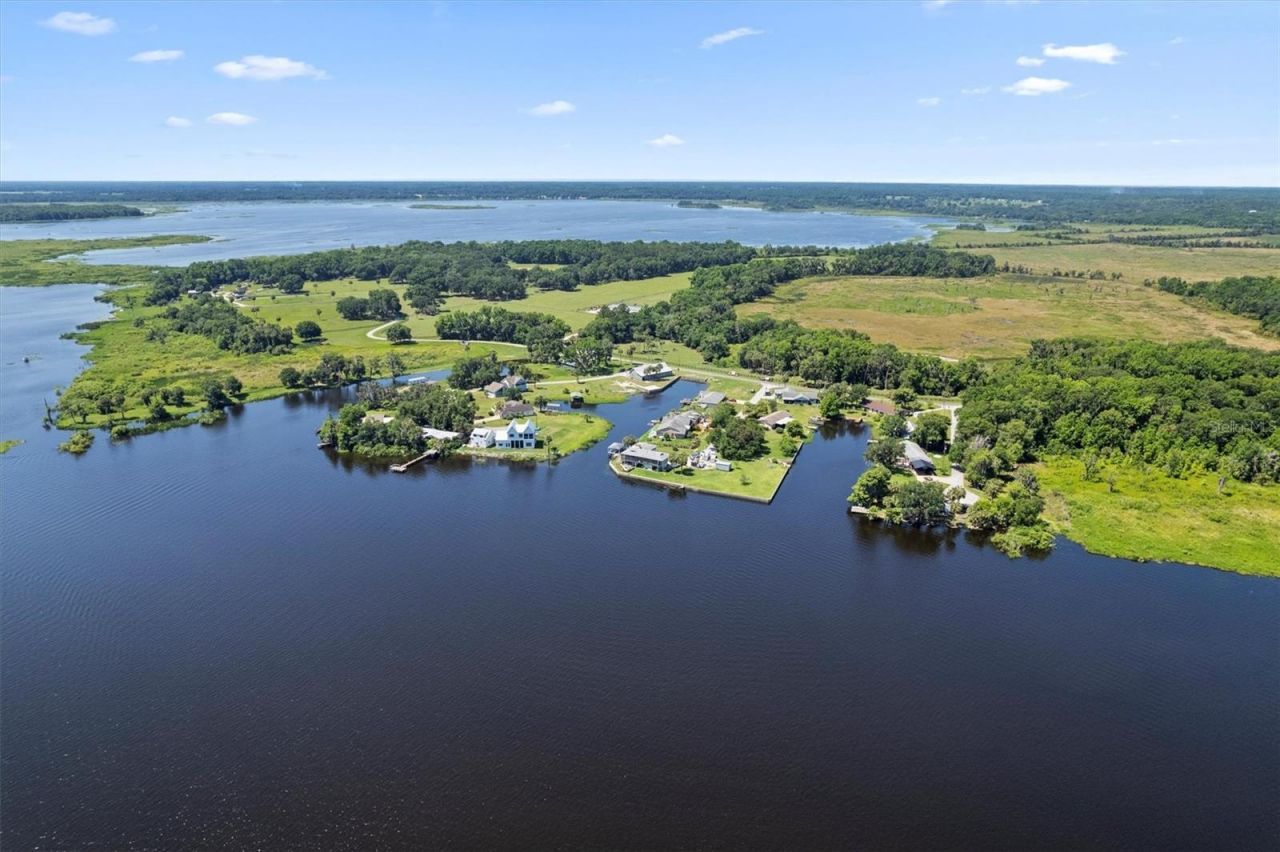 3943 NW 219th Street Road, Micanopy, FL 32667 Photo