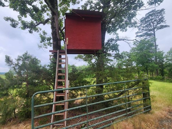 TBD Murphy Rd, Norman, AR 71960