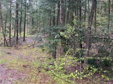 Rome-Taberg Road, Taberg, NY 13471