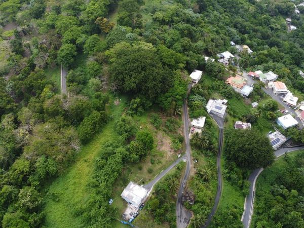 Km 1.6 CARR 835, Guaynabo, PR 00971