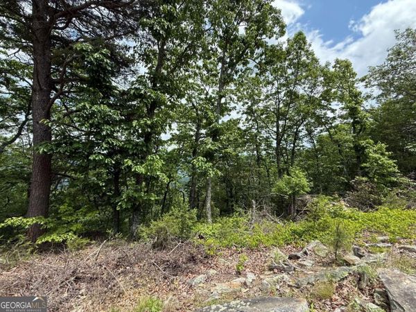 157 HWY, Menlo, GA 30731