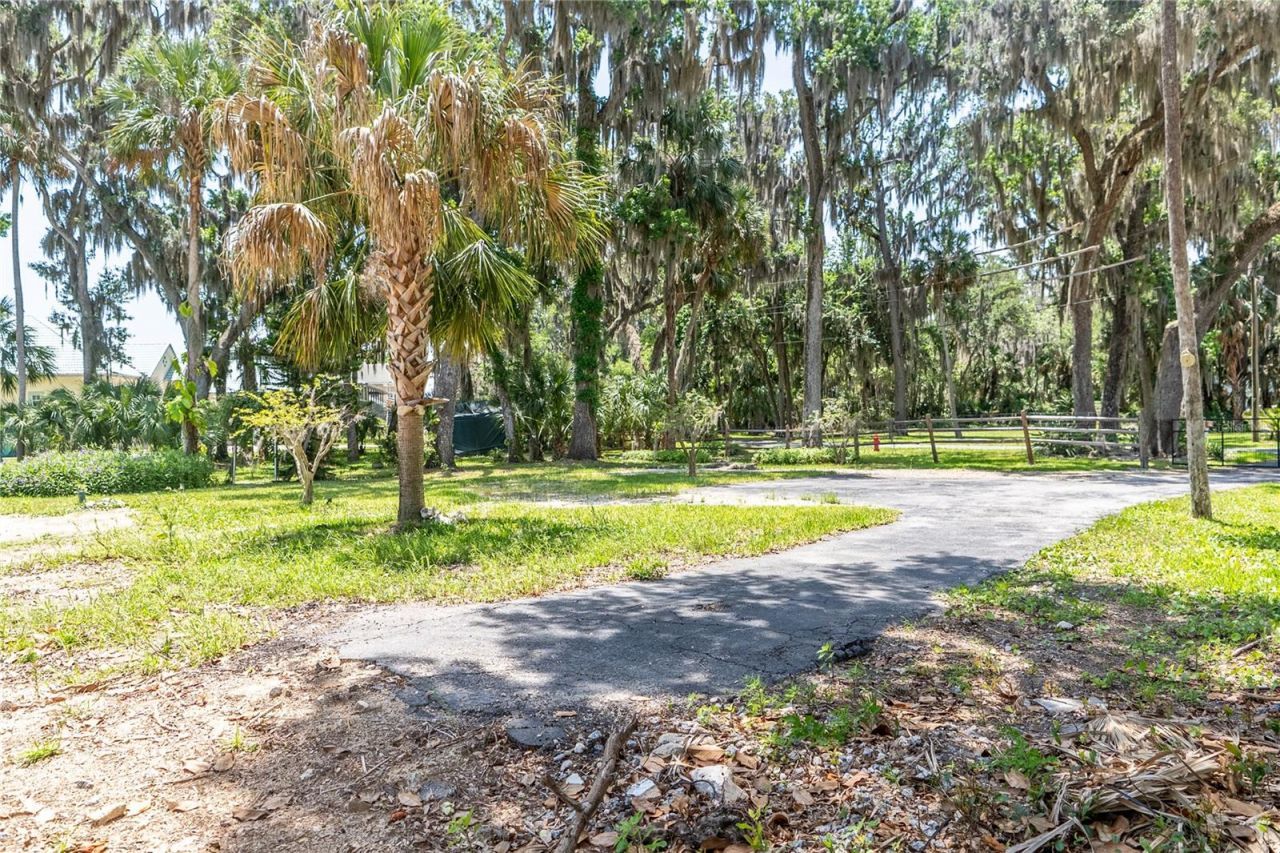 381 NW Magnolia Circle, Crystal River, FL 34428 Photo