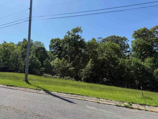 Lot #19 Meadow Glen Road, Flatwoods, KY 41139