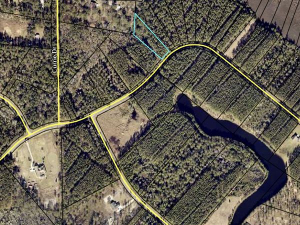 V/L 19 James Lane, White Oak, GA 31568