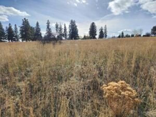 Kerry Drive, Unit Lot 9, Chiloquin, OR 97624