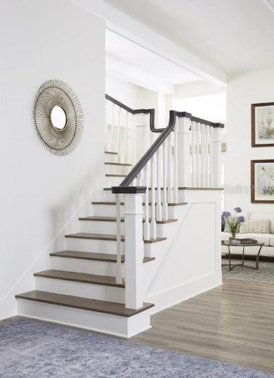 3420 Channelside Court, Safety Harbor, FL 34695 Photo