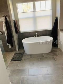 3420 Channelside Court, Safety Harbor, FL 34695 Photo