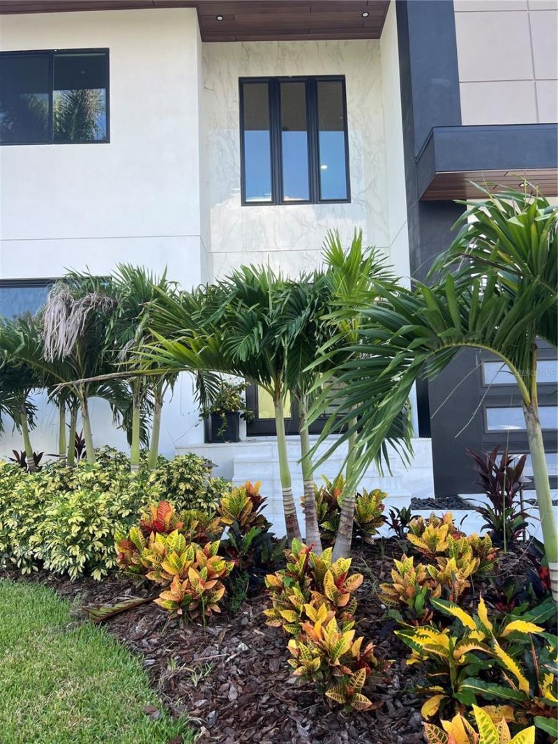 3420 Channelside Court, Safety Harbor, FL 34695 Photo