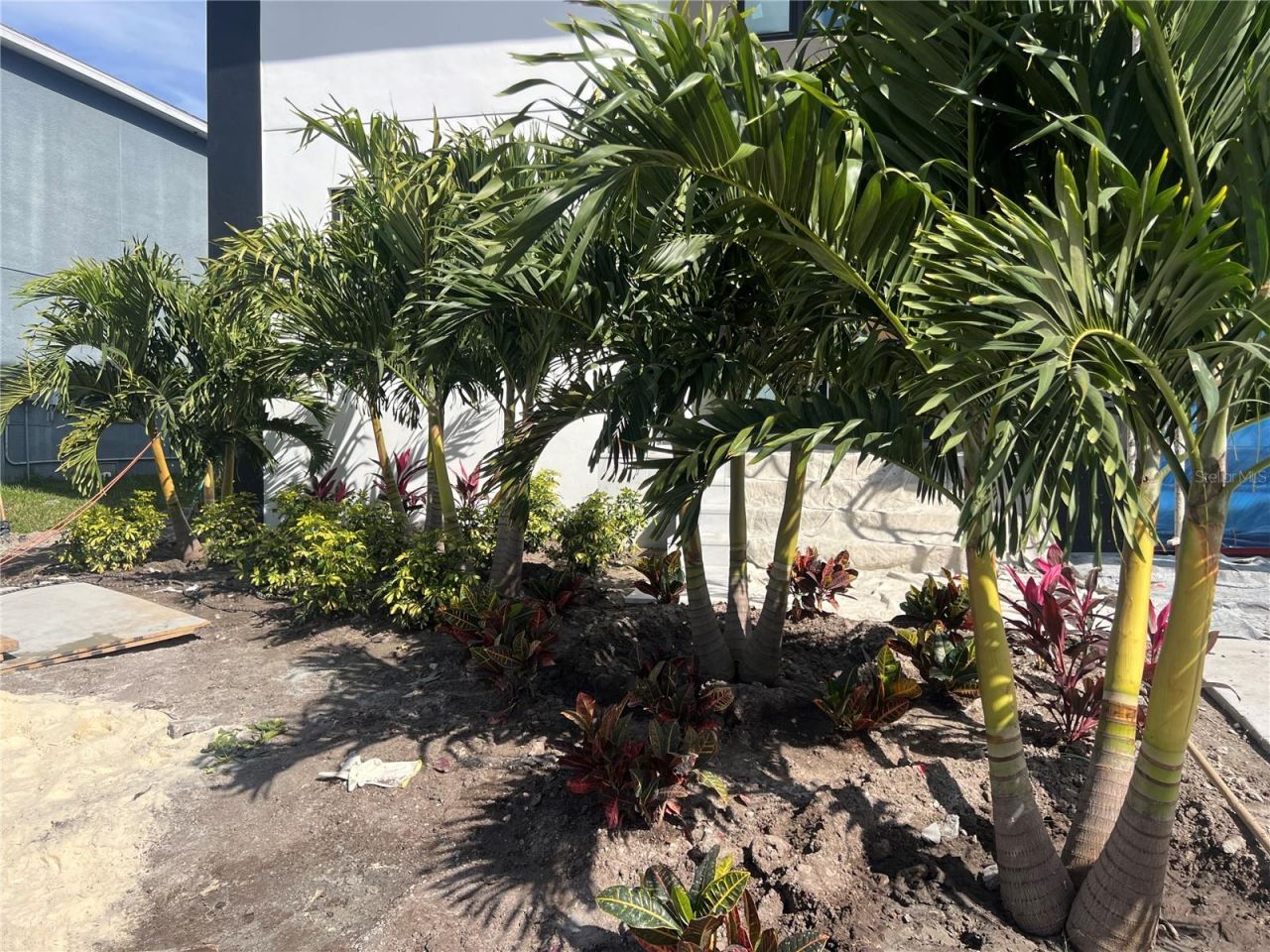 3420 Channelside Court, Safety Harbor, FL 34695 Photo