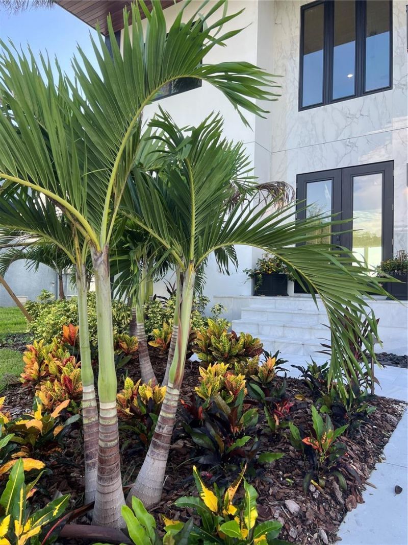 3420 Channelside Court, Safety Harbor, FL 34695 Photo