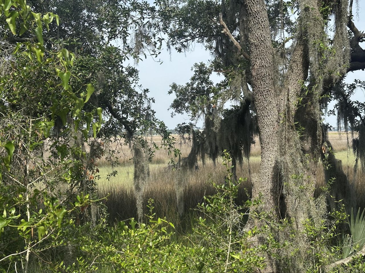 2342 Parsonage Road Photo 5