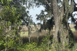 2342 Parsonage Road photo 4