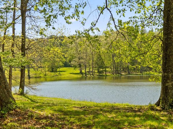 384 Acres Clouse Hill Road, Tracy City, TN 37387