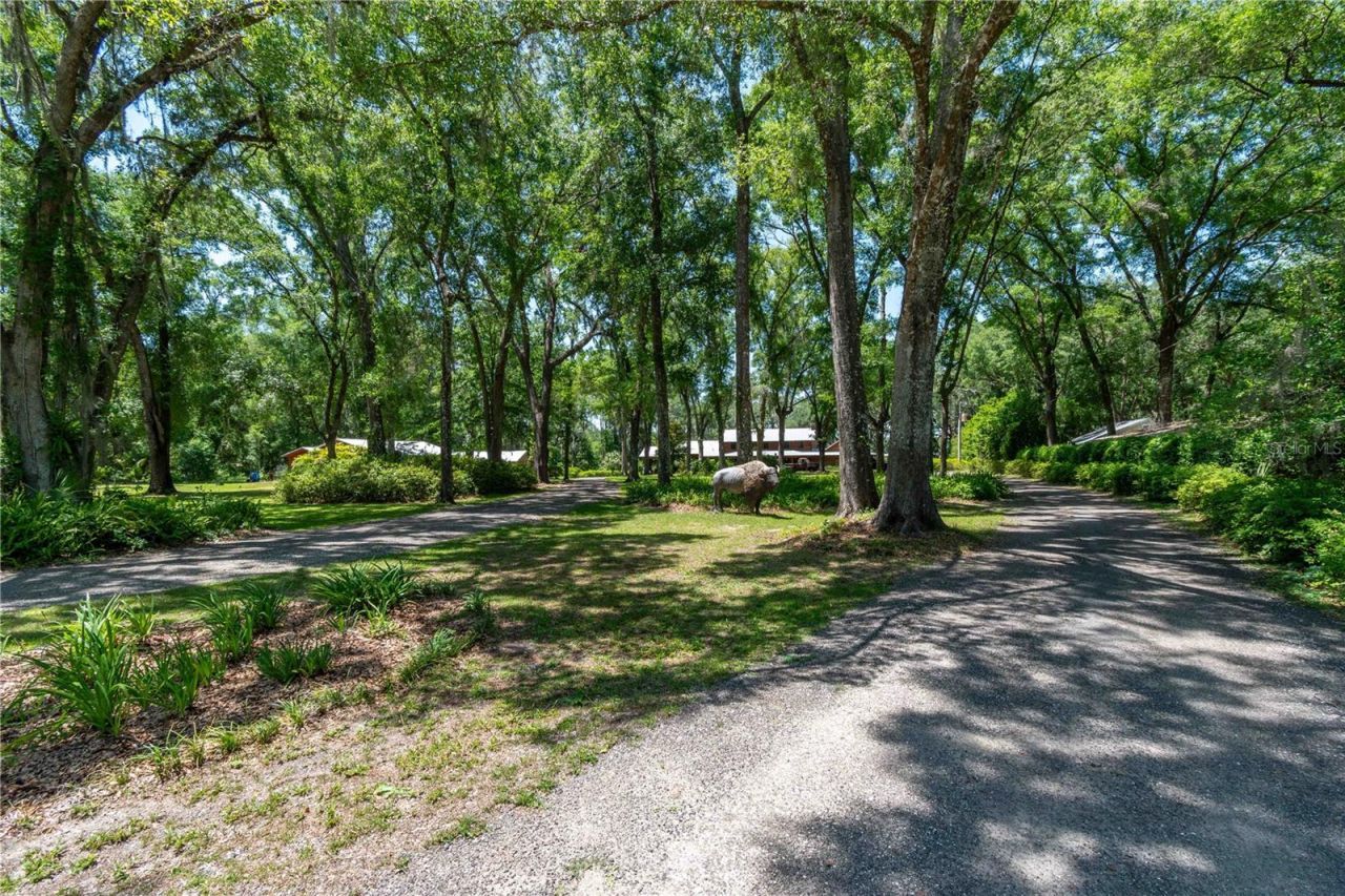 943 S County Road 21, Hawthorne, FL 32640 Photo