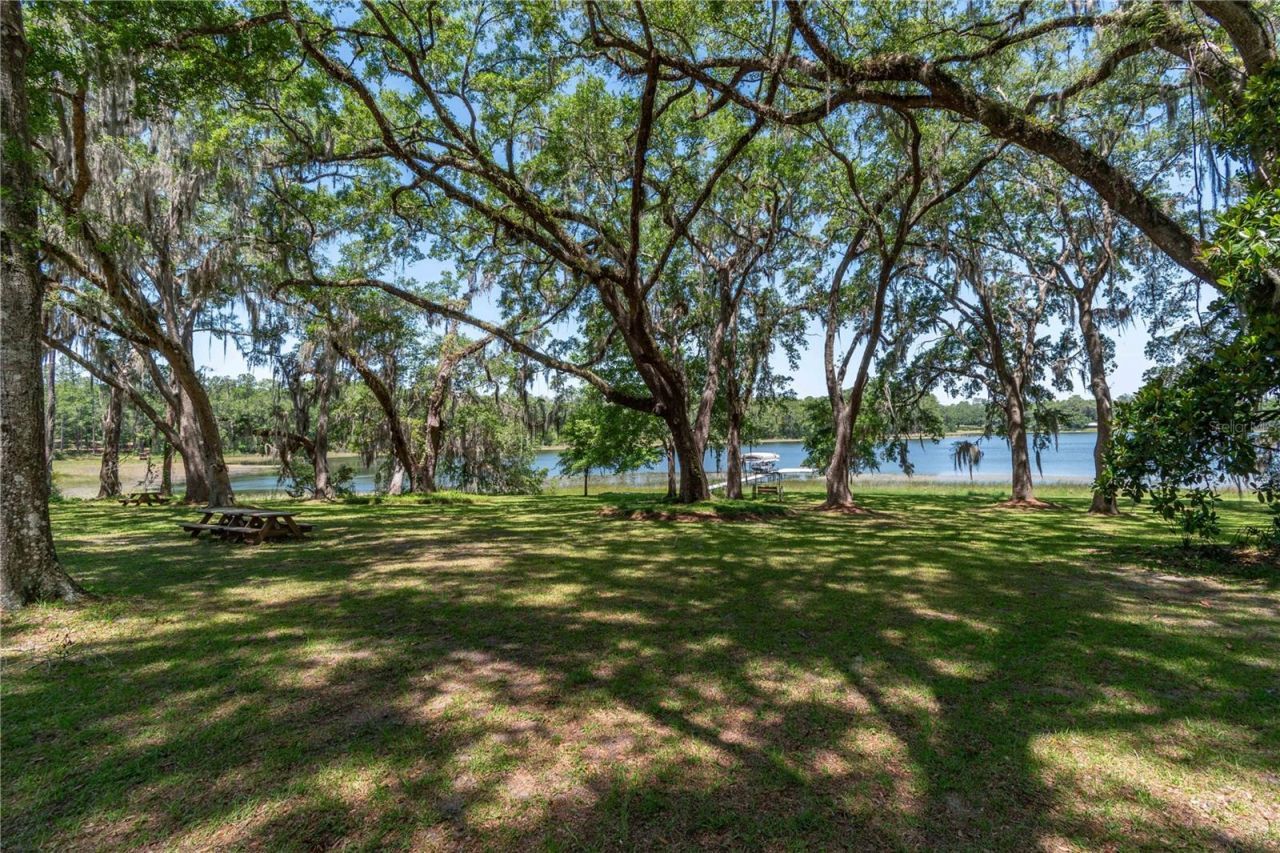 943 S County Road 21, Hawthorne, FL 32640 Photo