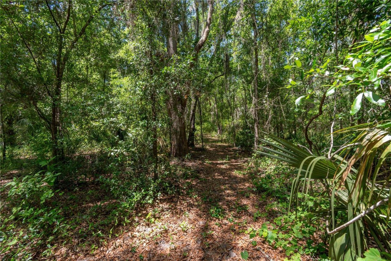 943 S County Road 21, Hawthorne, FL 32640 Photo
