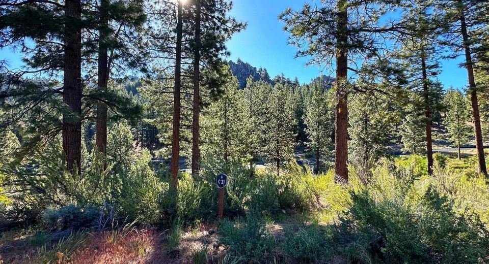3237 Summit Camp, Lot #C31, Carson City, NV 89705 Photo