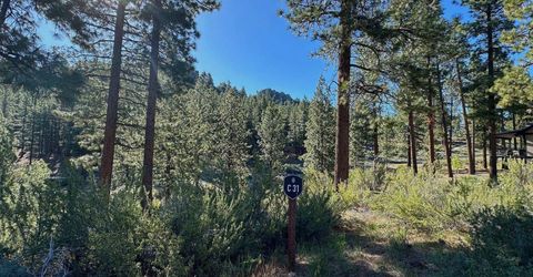 3237 Summit Camp, Lot #C31, Carson City, NV 89705 Photo