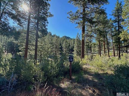 3237 Summit Camp, Lot #C31, Carson City, NV 89705 Photo
