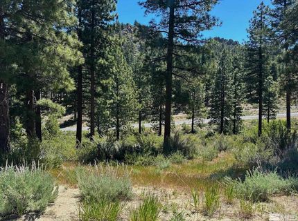 3237 Summit Camp, Lot #C31, Carson City, NV 89705 Photo