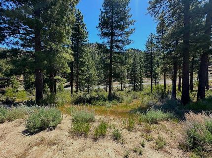 3237 Summit Camp, Lot #C31, Carson City, NV 89705 Photo
