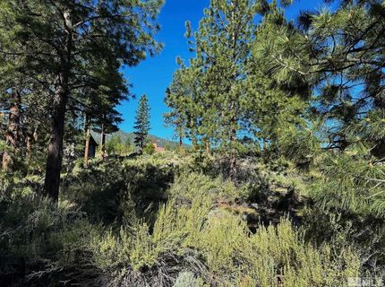 3237 Summit Camp, Lot #C31, Carson City, NV 89705 Photo
