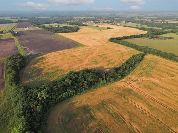 TDB Fm-137, Roxton, TX 75477