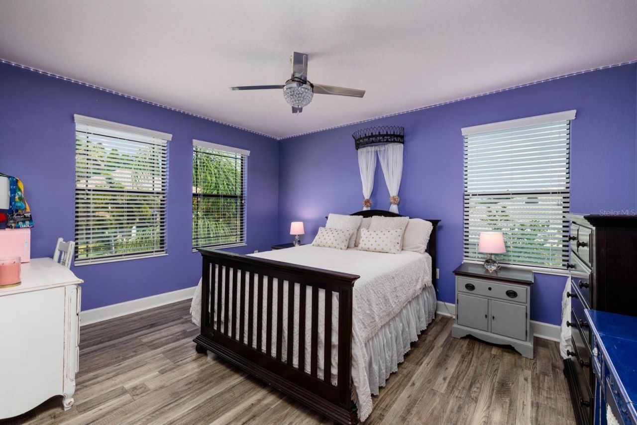 4611 Grand Preserve Place, Palm Harbor, FL 34684 Photo