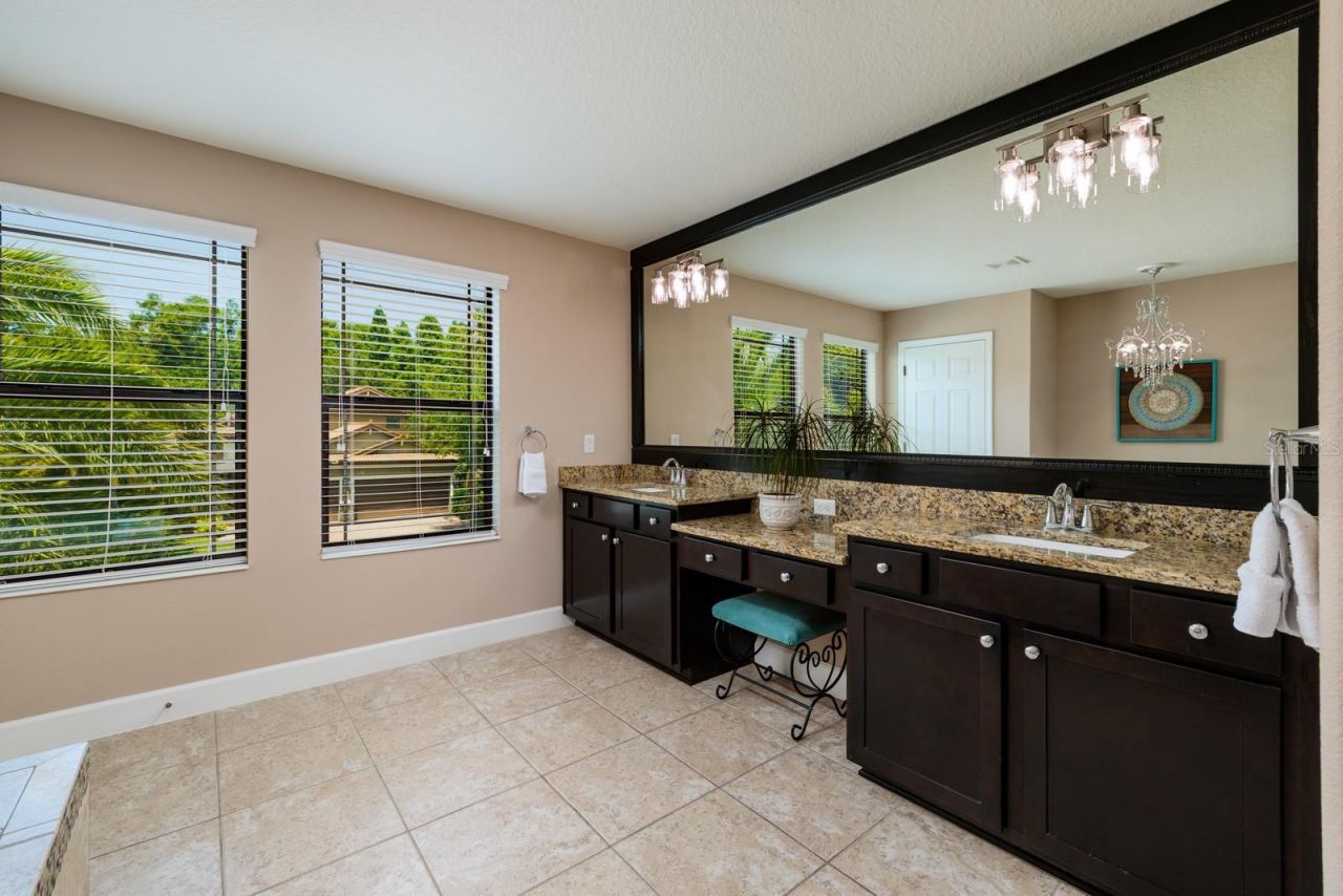 4611 Grand Preserve Place, Palm Harbor, FL 34684 Photo