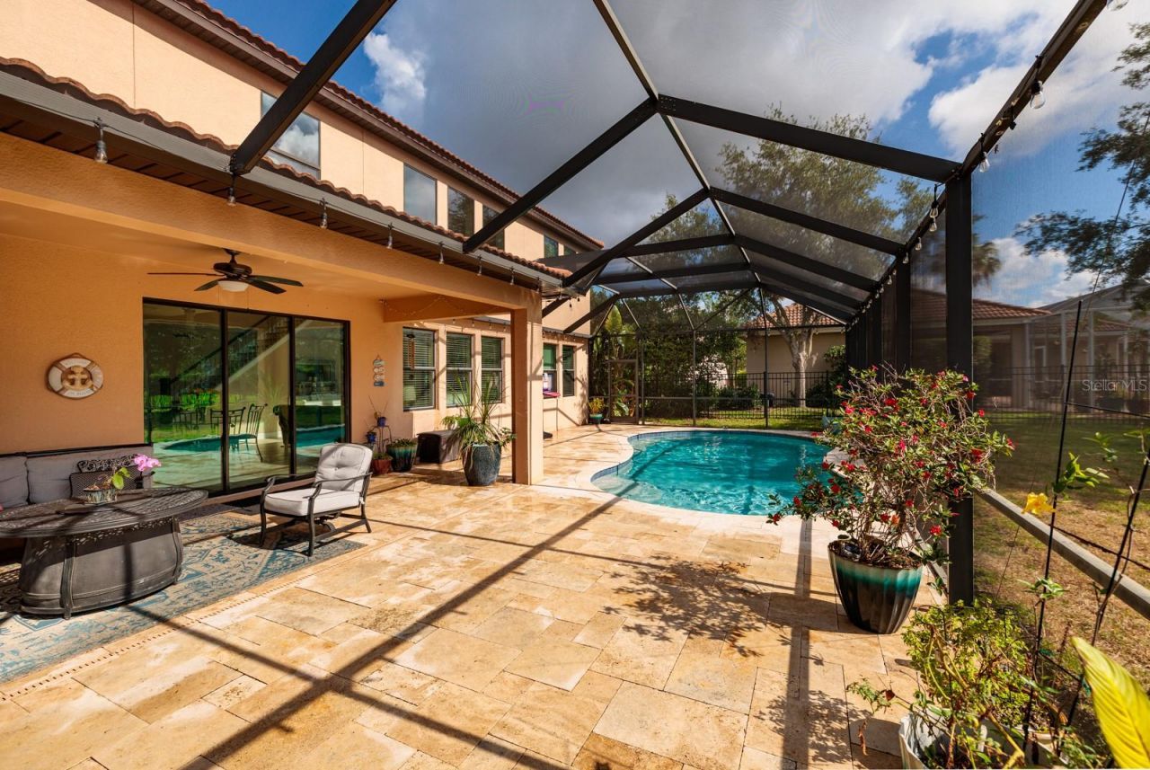 4611 Grand Preserve Place, Palm Harbor, FL 34684 Photo