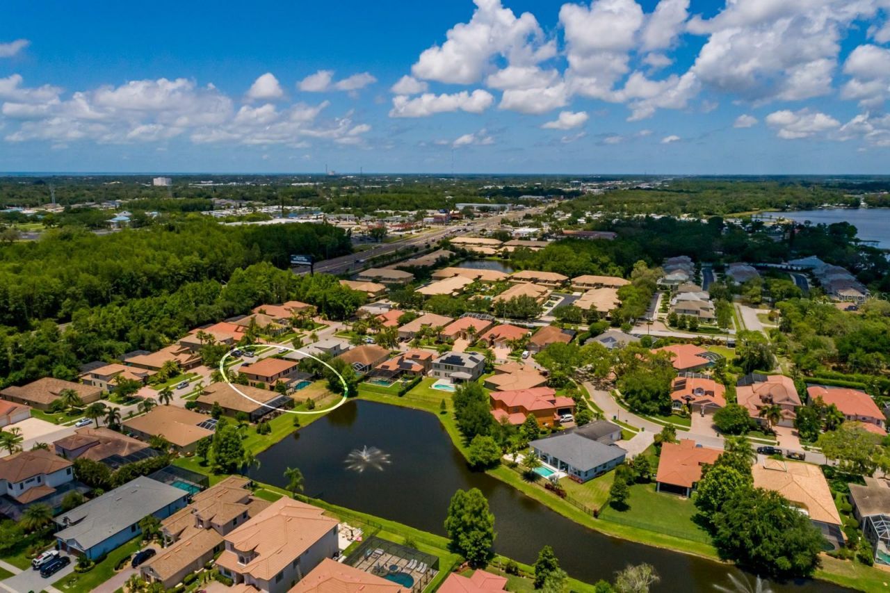 4611 Grand Preserve Place, Palm Harbor, FL 34684 Photo