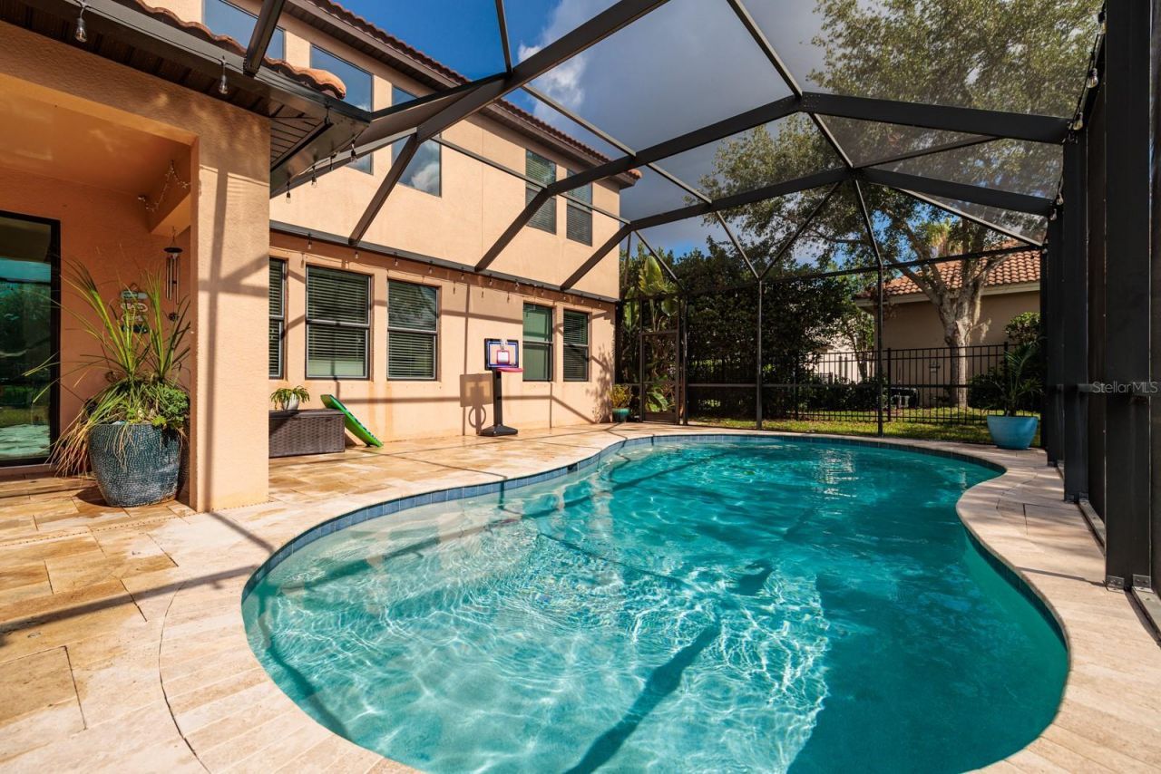 4611 Grand Preserve Place, Palm Harbor, FL 34684 Photo