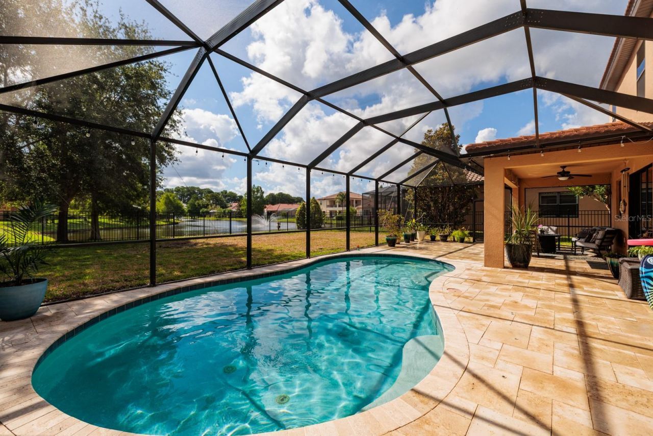 4611 Grand Preserve Place, Palm Harbor, FL 34684 Photo