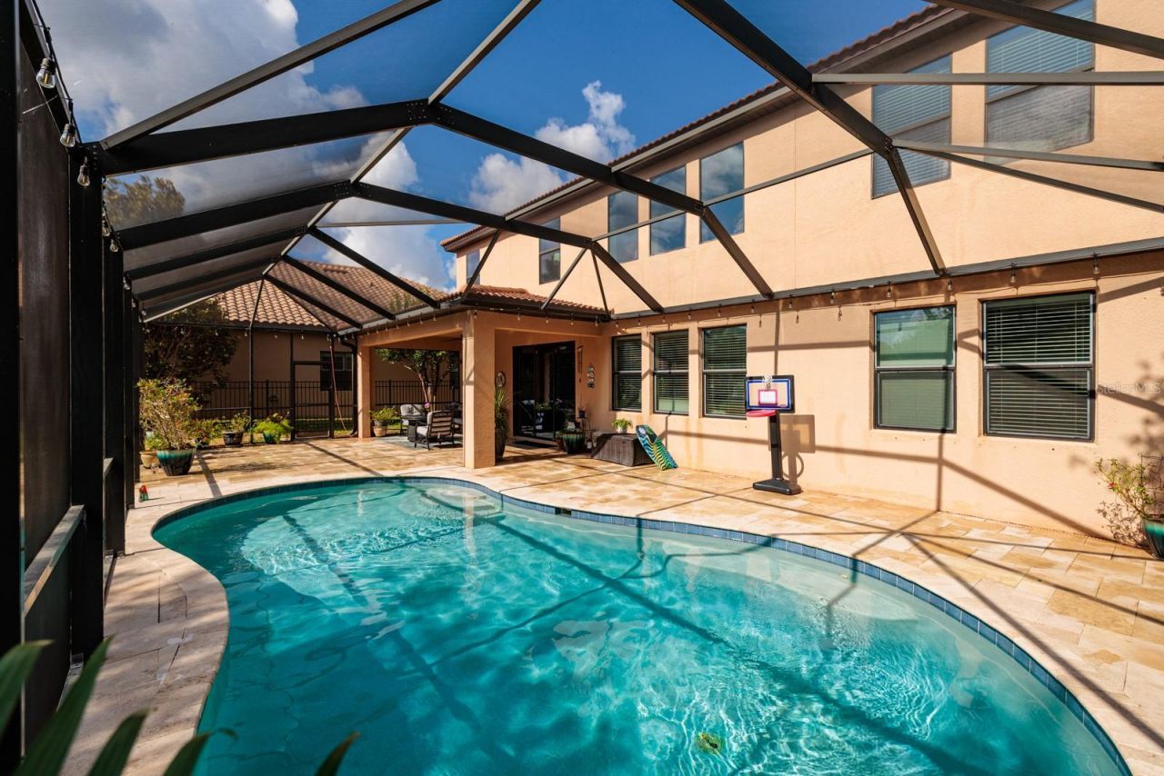 4611 Grand Preserve Place, Palm Harbor, FL 34684 Photo