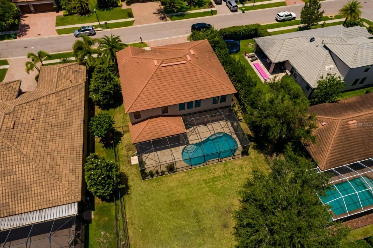 4611 Grand Preserve Place, Palm Harbor, FL 34684 Photo
