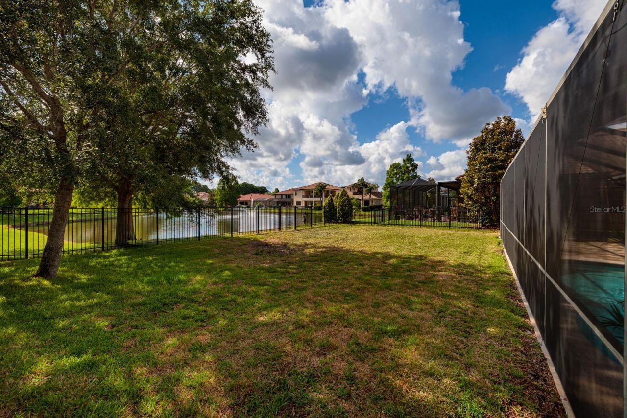 4611 Grand Preserve Place, Palm Harbor, FL 34684 Photo