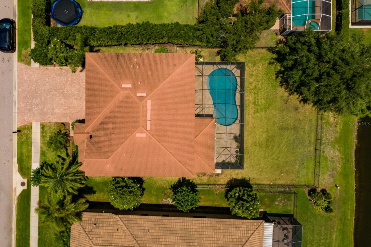 4611 Grand Preserve Place, Palm Harbor, FL 34684 Photo