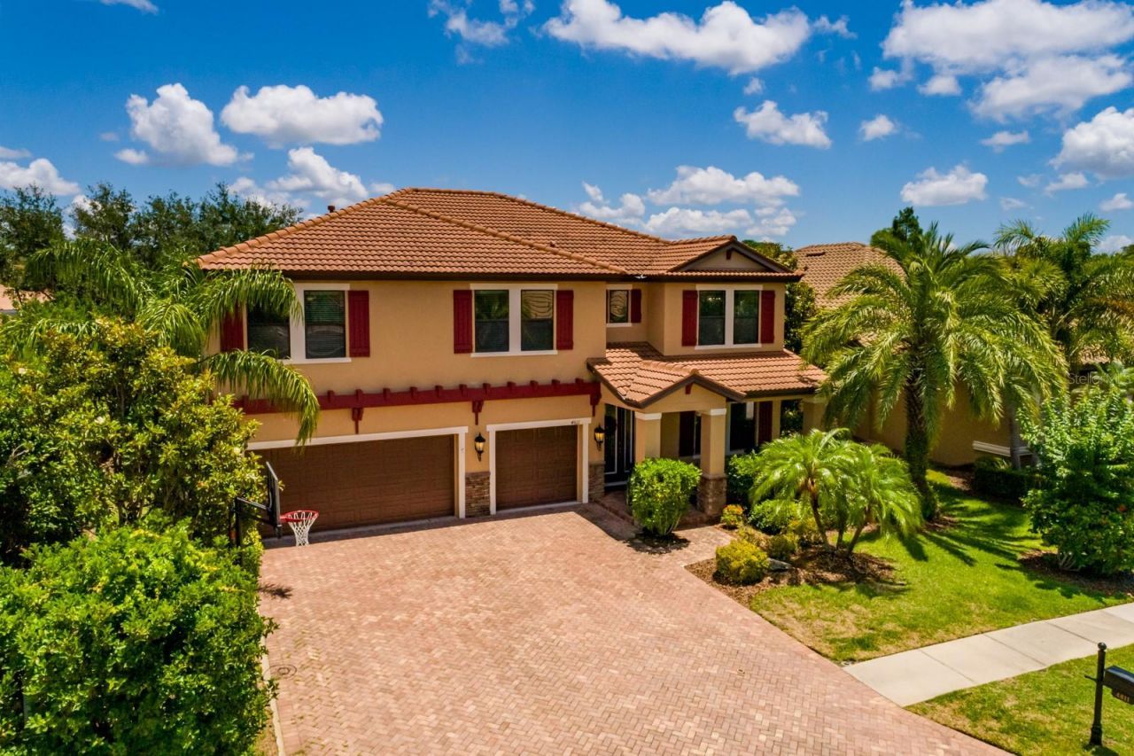4611 Grand Preserve Place, Palm Harbor, FL 34684 Photo