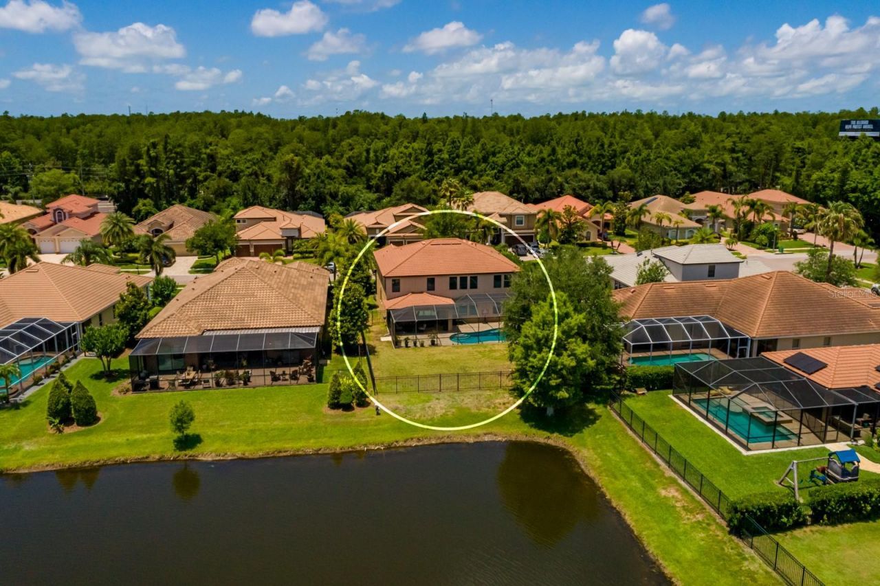 4611 Grand Preserve Place, Palm Harbor, FL 34684 Photo