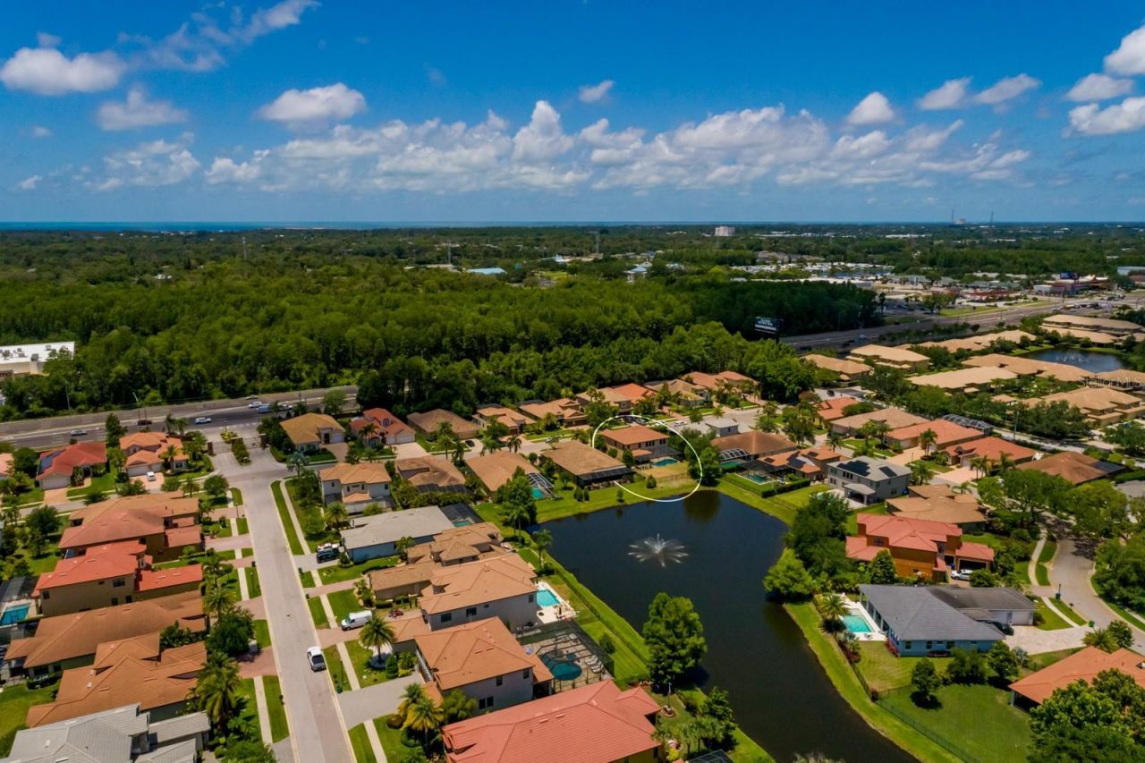 4611 Grand Preserve Place, Palm Harbor, FL 34684 Photo