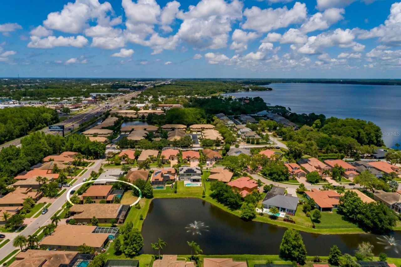 4611 Grand Preserve Place, Palm Harbor, FL 34684 Photo