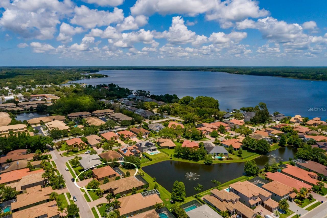 4611 Grand Preserve Place, Palm Harbor, FL 34684 Photo