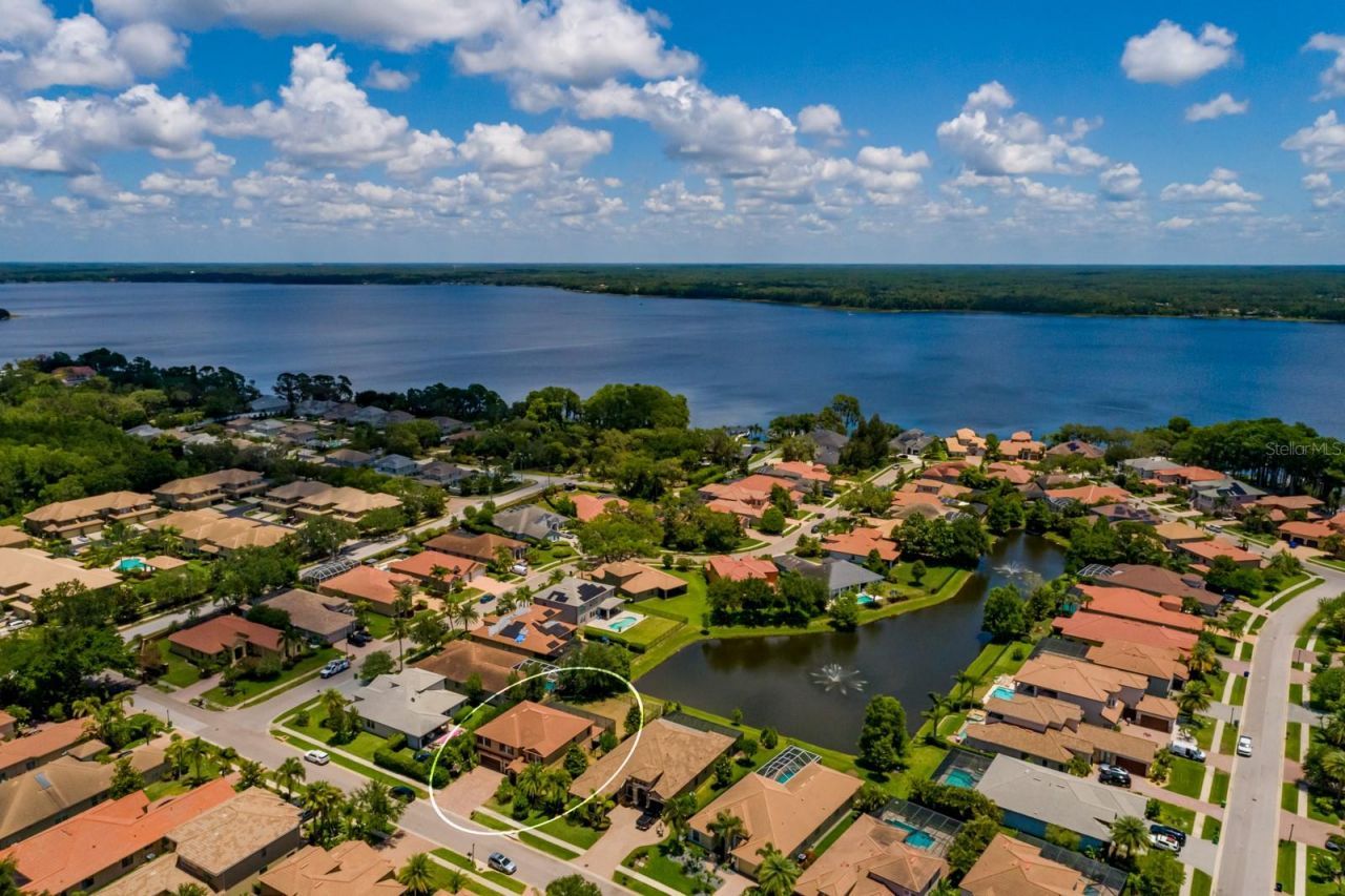 4611 Grand Preserve Place, Palm Harbor, FL 34684 Photo