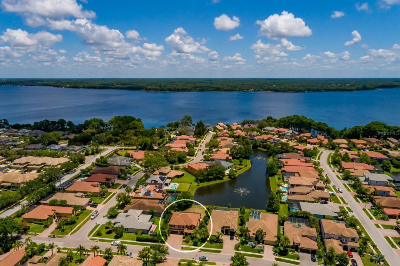 4611 Grand Preserve Place, Palm Harbor, FL 34684 Photo