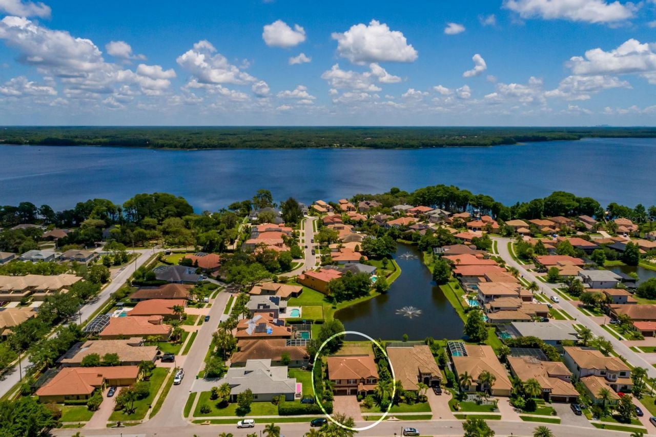 4611 Grand Preserve Place, Palm Harbor, FL 34684 Photo
